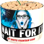 Lesli Feuerwerksbatterie Wait for it